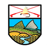 Logo 20